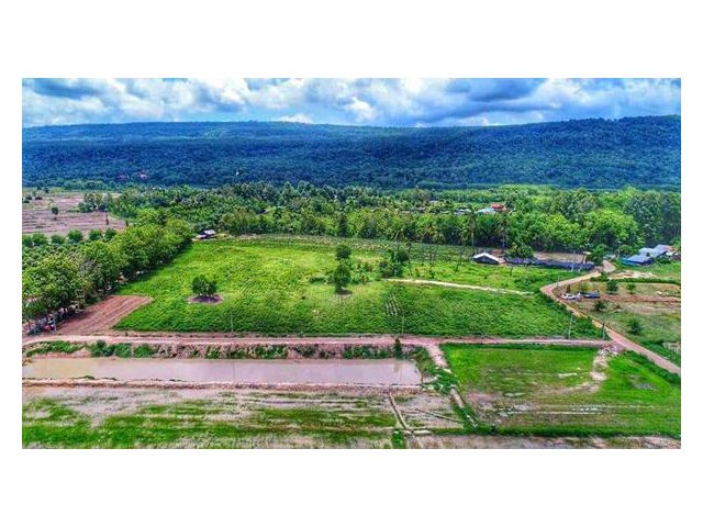 ขายที่ดินเปล่า วิวเขาสวย ถมแล้ว 100 ตร.วา ใกล้ตลาด วังทอง พิษณุโลก