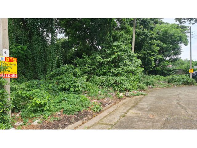 ขายที่ดินในหมู่บ้านธารารมย์ รามคำแหงซอย 150 เนื้อที่ 211 ตร.ว.
