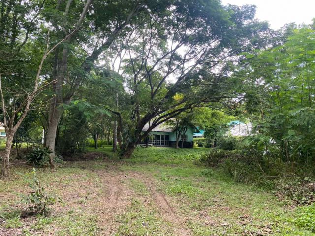 ขายที่ดินเขาใหญ่ โครงการวอเตอร์วีลพาร์คเขาใหญ่ ใกล้มอเตอร์เวย์และถนนธนะรัชต์เพียง 5 กม. คุณโอ๋ 098-097-8715