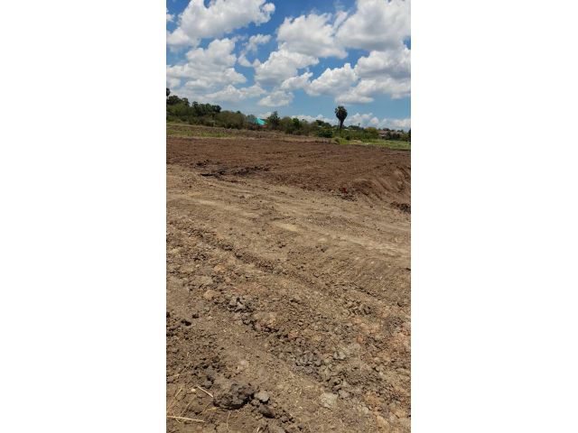 Sale Nice Land 5 Rais Nakhon Pathom suitable for residence and Projects
