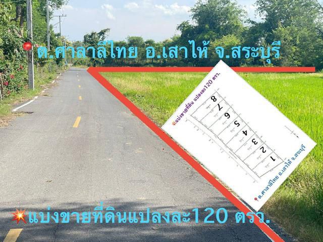 #ขายที่ดินแบ่งแปลง 120 ตรว. ต.ศาลาลีไทย อ.เสาไห้ จ.สระบุรี ติดถนนลาดยาง ใกล้ตัวเมืองสระบุรี10นาที ราคาถูก