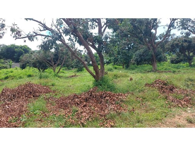 Presenting a unique opportunity to acquire a perfectly sized land plot in the highly desirable Baan Pong area of Hang Do
