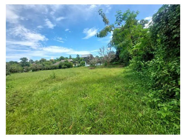 Exclusive Listing: Tranquil Land Plot with Mountain Views in Nam Phrae, Hang Dong We are pleased to present a beautifull