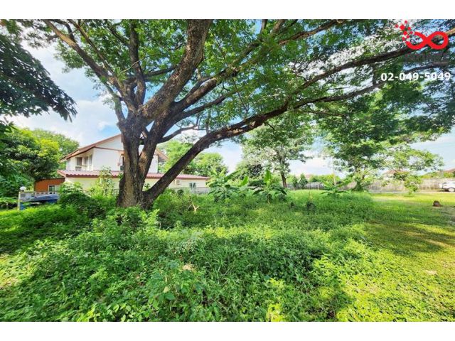 ขายที่ดินถมแล้ว 122 ตรว. รังสิต–นครนายก ธัญบุรี ในโครงการสารินปาร์ค