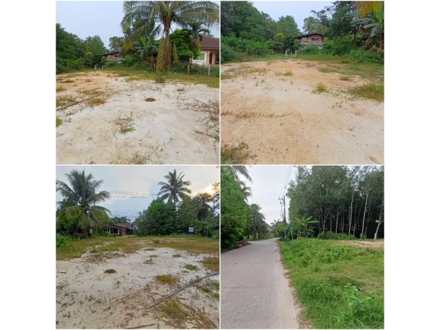 ขายที่ดินทุ่งหวังพิกัดอ่างทองยางงาม