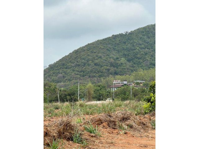 ขายที่ดินวิวภูเขา ใกล้สุขุมวิท – บรรยากาศโคตรดี อำเภอสัตหีบ จังหวัดชลบุรี
