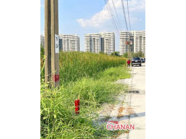 ขายที่ดิน ถ.บางนา ตราด กม.15ใกล้สนามบินสุวรรณภูมิ ซ.บ.ทองไชยอุตสาหกรรม เนื้อที่1ไร่80ตรว
