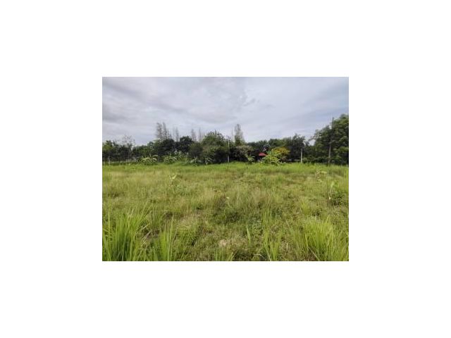 ขายที่ดิน 1-0-0 ไร่  เหมาะสร้างบ้านทรงสี่เหลี่ยมสวยงาม  ทำเลสะดวกทางทิศตะวันตกของถนนเลี่ยงเมืองหัวหิน