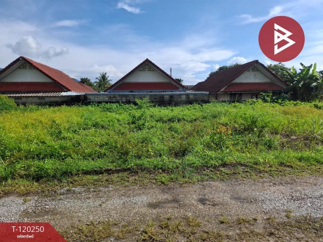 ขายที่ดิน เนื้อที่ 84.7 ตร.วา เทิง เชียงราย