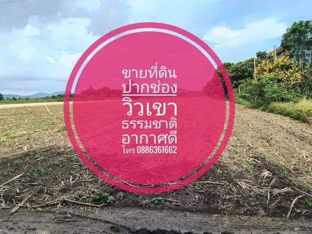 ขายที่ดิน อำเภอปากช่อง เขาใหญ่ นครราชสีมา