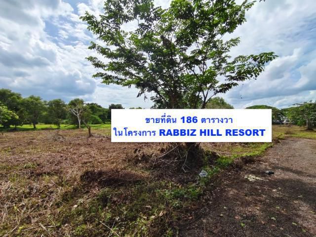ขายที่ดินเปล่า ต.เขาวงกต อ.แก่งหางแมว ในแรบบิซ ฮิลล์ รีสอร์ท (Rabbiz hill resort) 186 ตารางวา FAS2508118