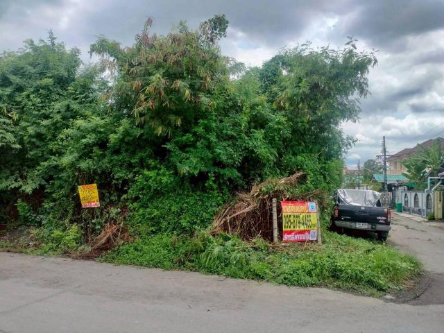ขายที่ดินราษฎร์พัฒนา 58 ตรว. แปลงมุม ถมแล้ว ติดถนนคอนกรีตสาธารณะ ม.เคหะธานี 4 กทม.