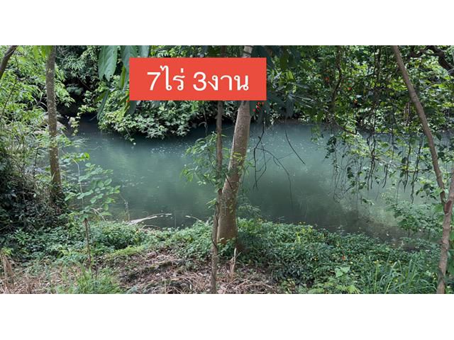ที่ดินติดน้ำ หมวกเหล็ก ปากช่อง เขาใหญ่ 7ไร่ 3งาน น้ำไหลตลอดทั้งปี ด้านหน้าวิวเขา