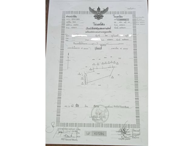 ขายที่ดินสีม่วง ราคาพิเศษ อ.แปลงยาว ฉะเชิงเทรา