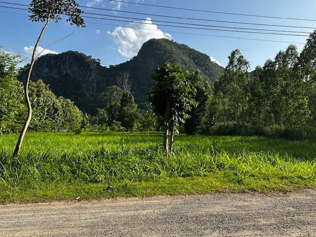 ที่ดินเหวปลากั้ง ถนนผ่านศึก 2ไร่ ติดถนนสาธารณะ 2 ด้าน วิวเขาใหญ่ ใกล้อุทยานเขาใหญ่