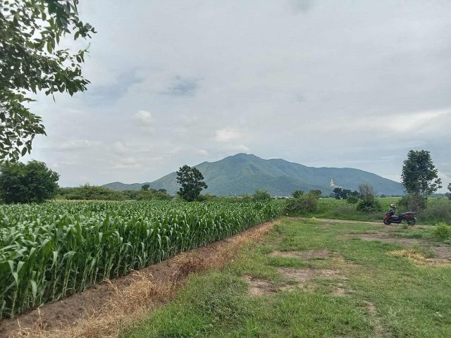 ขายที่ดิน100​ ตรว.