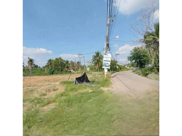 L65 ขายที่ดิน ทุ่งกลมตาลหมันซอย 20 ต้นซอยติดถนนคอนกรีต