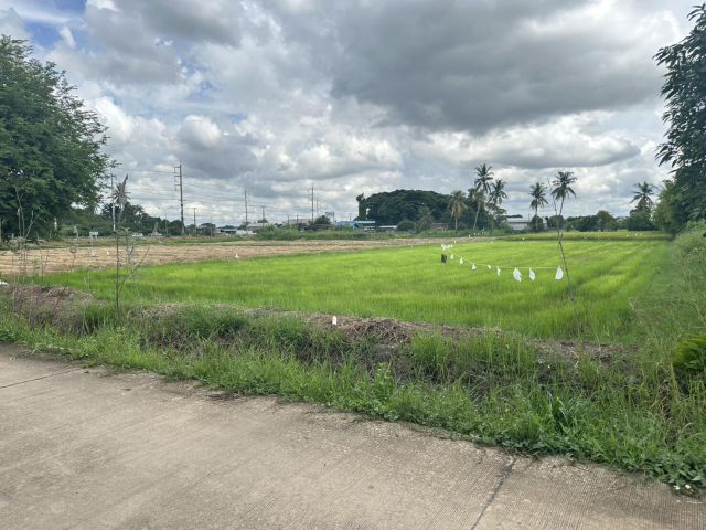 ขายที่ดินเปล่า 1-0-65.0 ไร่ ทำเลสวย ห่างจากถนนสิงหวัฒน์ (ทล.12) 80 เมตร ต.บ้านกร่าง