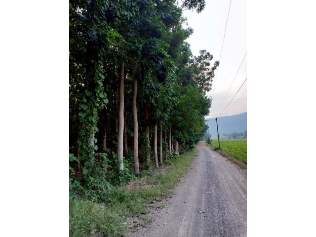 ขายที่ดินพร้อมบ้าน