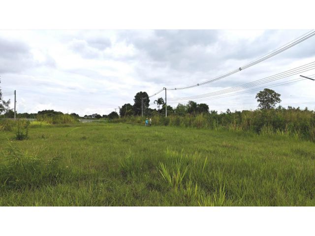 Land For Sale #ที่ดินแบ่งขาย ที่ดินจัดสรรโครงการอารีย์ เขาใหญ่  แหล่ง Ozone อันดับต้นๆ ของไทย