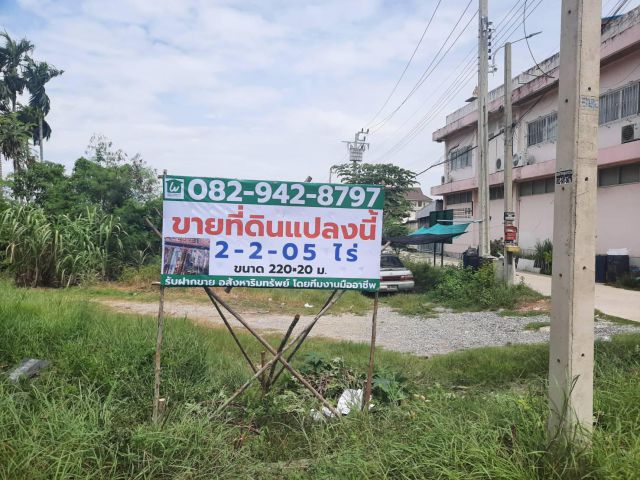 ขายที่ดิน 2-2-05 ไร่ บางพลี ใกล้ถนนใหญ่เทพารักษ์ ขายต่ำกว่าประเมิน