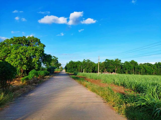 ขายที่ดิน(โฉนด)36ไร่ ต.นิคมลำนารายณ์ อ.ชัยบาดาล จ.ลพบุรี