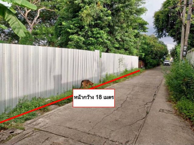 ขายที่ดิน 100 ตร.วา ซ.สายไหม2 หรือ เข้าซอยพหลโยธิน54/1แยก8 เหมาะสร้างบ้านอยู่อาศัย เขตสายไหม ใกล้แยกคปอ. โรงเรียนฤทธิยะ