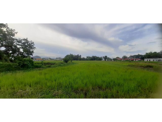 ขายที่ดิน ดอยสะเก็ด บรรยากาศดี ติดถนนคอนกรีต ใกล้ถนนสายใหม่ เนื้อที่ 2 ไร่ 139 ตร.วา อ.ดอยสะเก็ด จ.เชียงใหม่