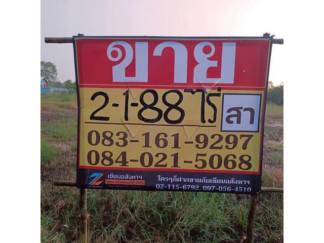 ขายที่ดินจัดสรร  ราคาถูก   2-1-88 ไร่  บ้านปากโทก  เมืองพิษณุโลก