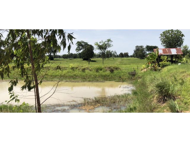 ขายที่ดินติดถนนหน้ากว้าง 100 เมตร ขนสด 9-2-99 ไร่