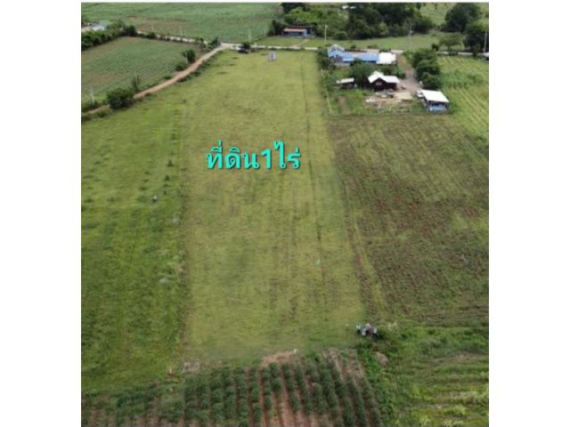 ทีดินราชบุรีราคาถูก 1ไร่ ตร.วา เพียงละ2,000บาท  พิกัดที่ตั้ง หมู่บ้านทุ่งไล่ไก่ เขตเทศบาลตำบลหินกองอำเภอเมือง ราชบุรี