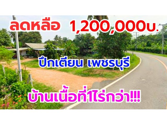 ขายบ้านพร้อมที่ดิน 1ไร่ 88ตร.ว ต.บึกเตียน อ.ท่ายาง จ.เพชรบุรี