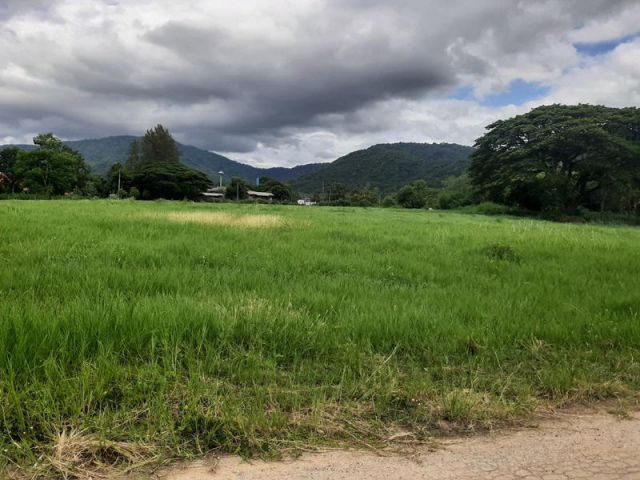ขายที่ดินวิวเขาใหญ่สวยๆ ต.หมูสี บ้านคลองเดื่อ เนื้อที่ 9 ไร่ โฉนด ใกล้ทางหลวง3052