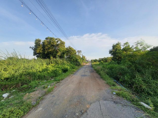ขายที่ดินสุวินทวงศ์ 106 ตรว แปลงมุม ติดถนนสาธารณะ ซ.สุวินทวงศ์ 90 เขตหนองจอก กทม.
