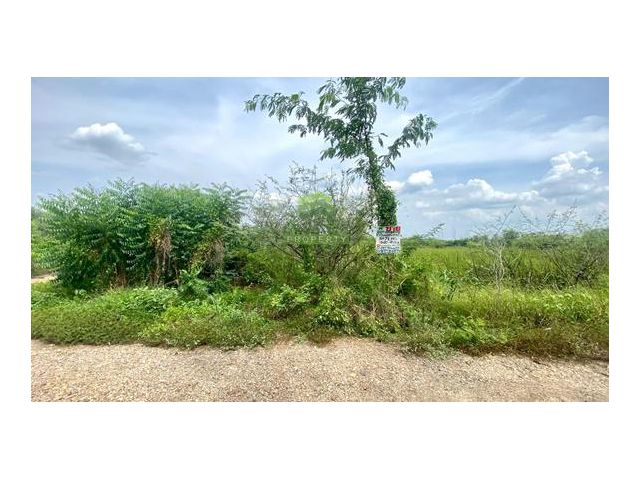 ขายที่ดินบ้านนา นครนายก เนื้อที่ 78 ตร.ว แปลงสวย ใกล้วัดคลอง31 ราคาถูก