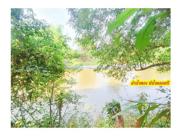 ที่ดินติดแม่น้ำพอง(น้ำมีทั้งปี) ถมแล้ว มีต้นไม้ใหญ่ สระน้ำเล็กๆพร้อมศาลากลางน้ำในที่ดิน เดินทางสะดวก 8 กม.จากตัวเมืองขอน