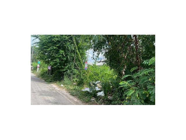ที่ดินแปลงสวย 209 ตรว. ทำเลเลียบด่วนรามอินทรา–ประดิษฐ์มนูธรรม ใกล้เซ็นทรัลอีสต์วิลล์ MRTลาดพร้าว71