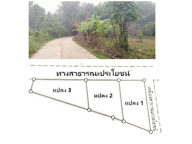 ขายที่ดินขนาด 110 ตรว. ราคา 250,000 บ. จำนวน 3 แปลง ใกล้ตลาดสดและเซเว่น เหมาะสำหรับสร้างบ้านพักอาศัยรวมโอน