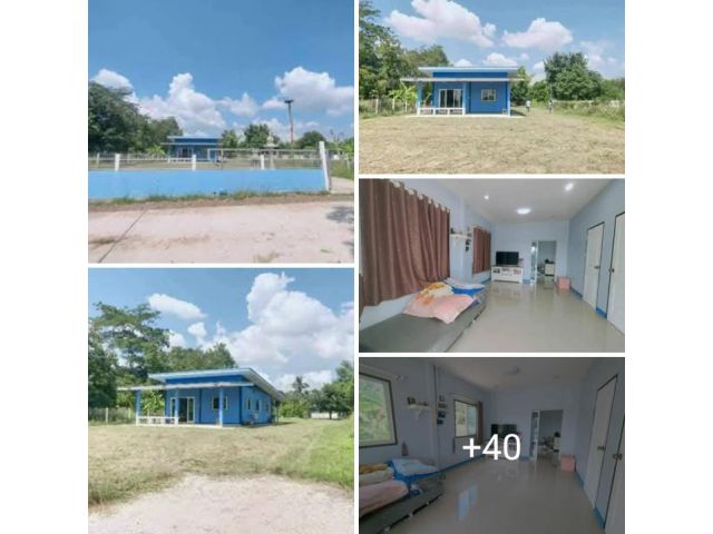 !!!!ขายด่วนบ้านเดี่ยว264ตรว.1,550,000บาทอ.เมืองโคราช