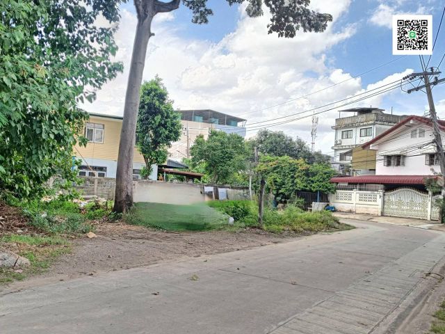 ขายที่ดินหมู่บ้านเศรษฐกิจซอย 29