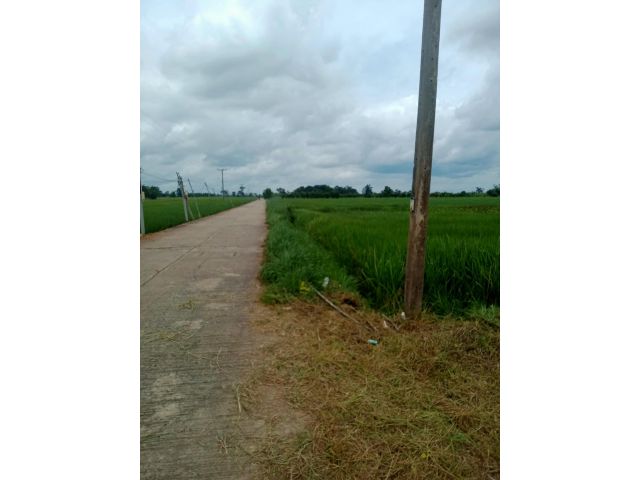 ขายทีนา