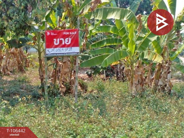 ขายที่ดินเปล่า เนื้อที่ 2 งาน 60.7 ตร.วา เชียงคำ พะเยา