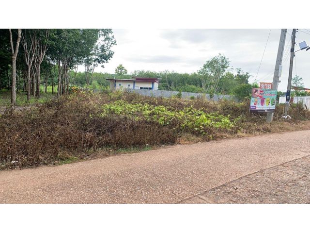 ขายที่ดิน 2 งาน อ.สังคม จ.หนองคาย บ้านแก้งไก่ ไม่ติดจำนอง ที่ดินติดถนน 2 ด้าน