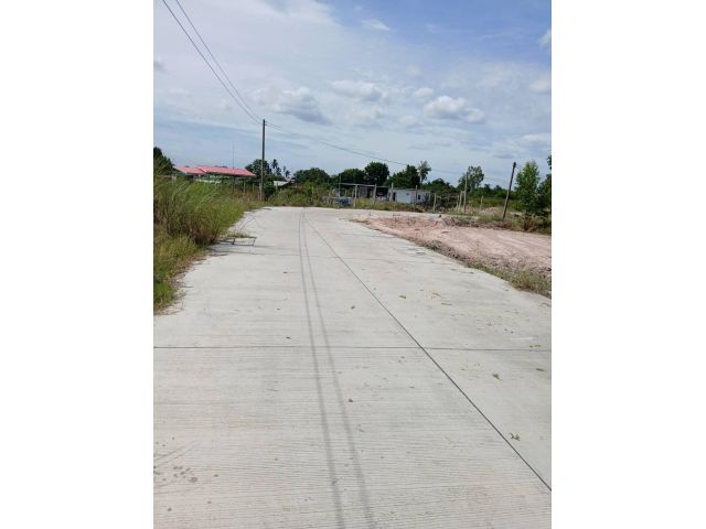 ขายที่ดินบึง หนองแขวะ 1 ไร่ ติดถนนคอนกรีตใกล้ท่าเรือแหลมฉบัง-9กม. อ.ศรีราชา ชลบุรี