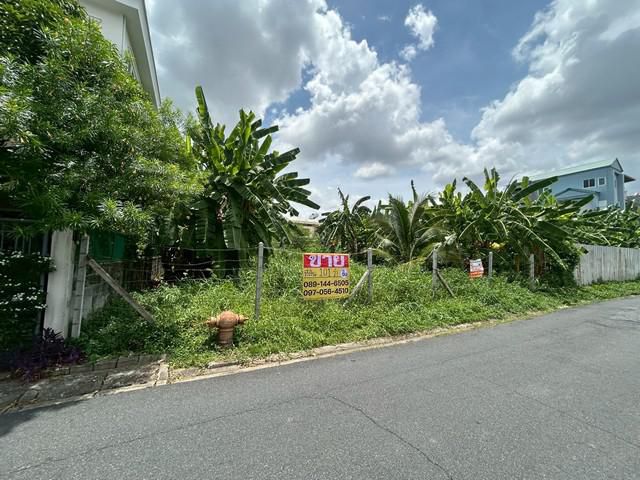 ขายที่ดิน 101 ตารางวา  ซอยลาดพร้าว 124 แยก 1