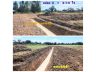(โฉนด) ที่ดิน 1-3 ไร่ (โคกหนองนา บ่อน้ำ ถมดิน) ติดถนนลาดยาง,คอนกรีต,หินคลุก ไฟฟ้า น้ำประปา บ่อบาดาล ม. 4 ต.สระกระโจม อ.ดอนเจดีย์ จ.สุพรรณบุรี