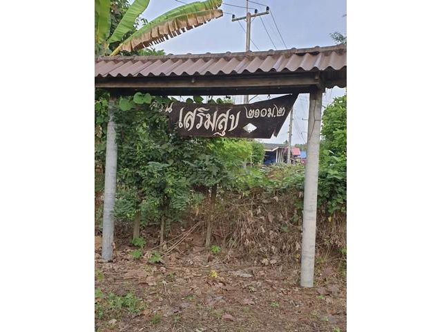 ขายที่ดิน ดินเปล่า นครนายก ปากพลี