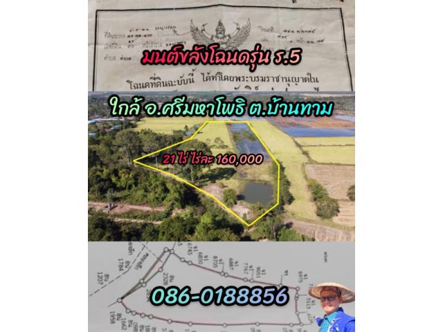 ทำสร้างฟิชชิ่ง บ้านสวน รีสอร์ท คาเฟ่กลางทุ่ง เนื้อที่ 21 ไร่