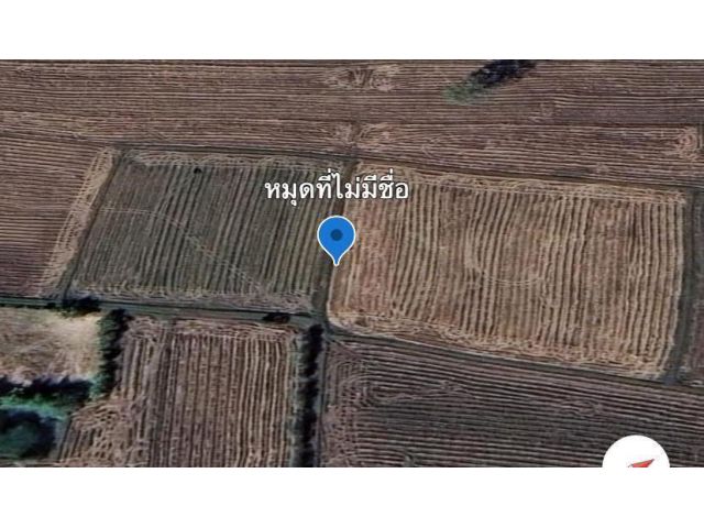 ขายที่นา