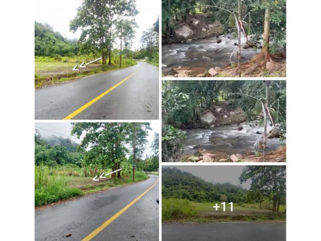 #ขายที่ดิน1ไร่2งาน อยู่บ้านปางแฟน อ.ดอยสะเก็ด อยู่ตรงข้ามวัดพระบาทปางแฟน ใกล้ถนนใหญ่แค่300ม.ขายถูกๆ